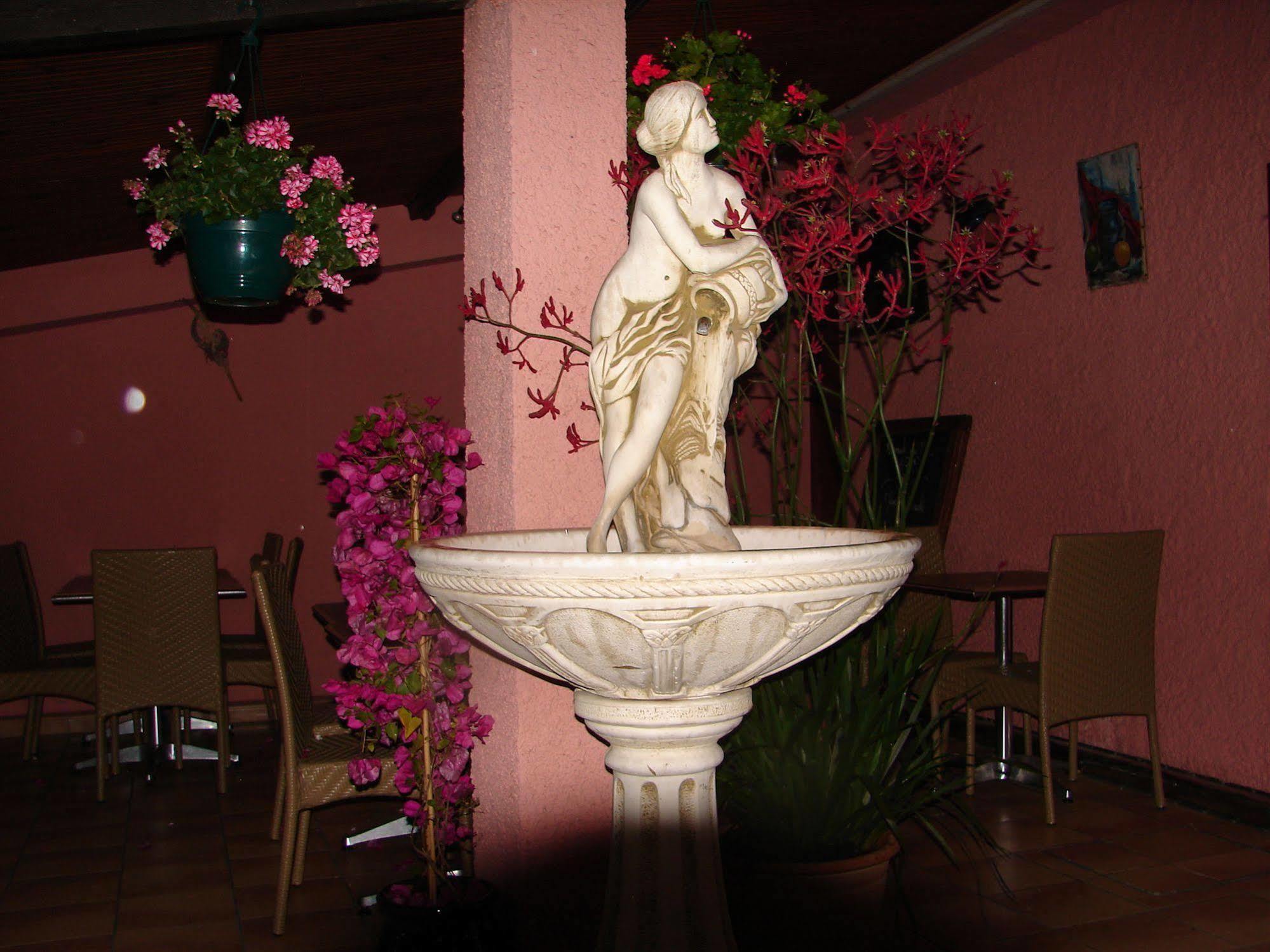 Logis Hotel Restaurant Les Charmettes アルジェレス・シュル・メール エクステリア 写真